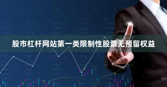 股市杠杆网站第一类限制性股票无预留权益