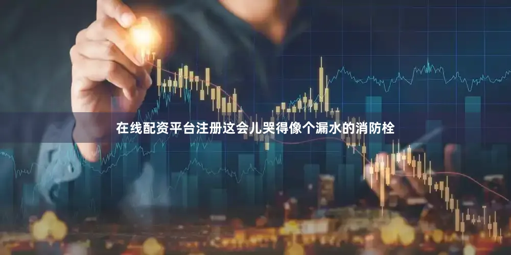 在线配资平台注册这会儿哭得像个漏水的消防栓